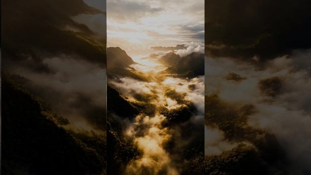 21021b42b3d05ec8b0ba12372250a51b