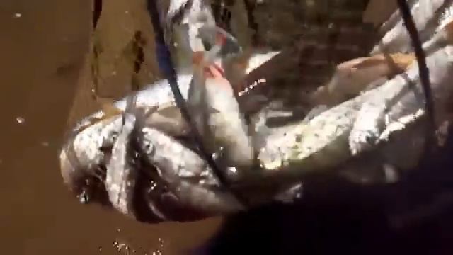 Хвастун упустил рыбу