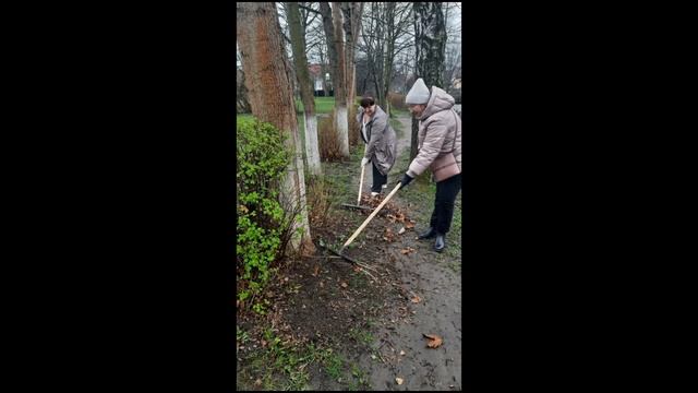 Субботник в МБОУ 