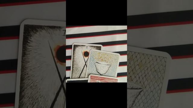 КАКОЙ МУЖЧИНА НА ПОРОГЕ?/ТАРО