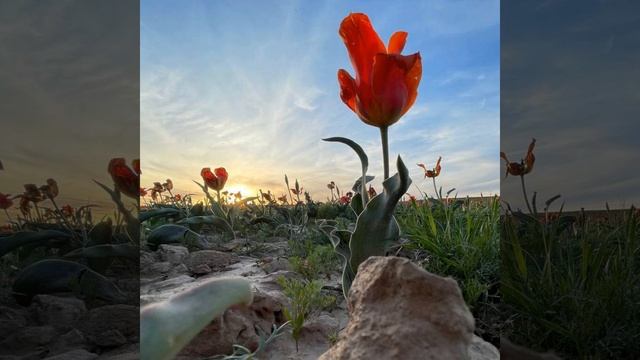 Энергия космоса