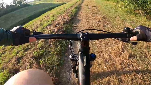 2020 POLYGON XTRADA 7 XC TRAIL RIDE AND REVIEW BUDGET HARDTAIL MTB from bikesonline