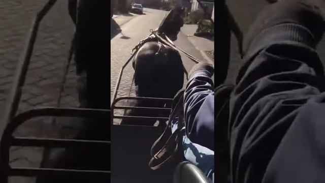 8d497b6c4bc18cf0551533f7c91680c2