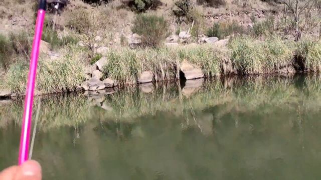 SEGUÍ UN ARROYO ENTRE LAS MONTAÑAS!!mira Lo Que Encontré! AVENTURA EN SAN LUIS. Acompañame!