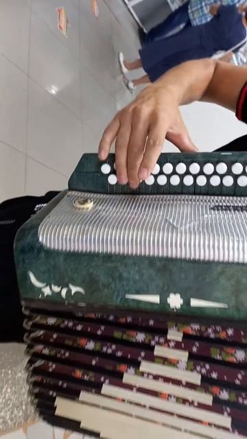 гармонь белорусь