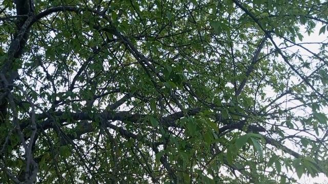 Оспариваю решение административной комиссии в суде