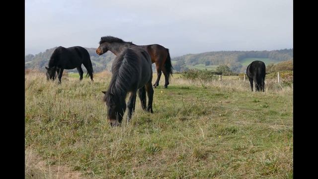 Edf97e497f5ab98021c1e2344b111db7