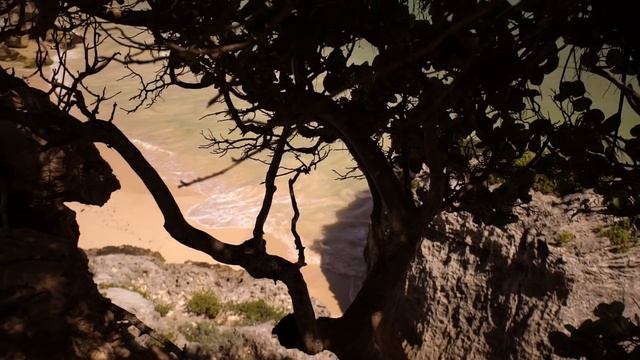 ПАРТНЕРЫ APL ПУТЕШЕСТВУЮТ ПО МЕКСИКЕ!