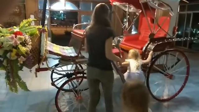 чуть более длинное видео о лошади