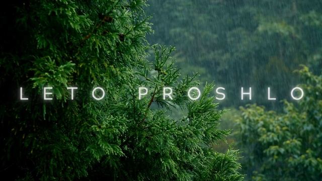 Звуки летнего теплого дождя в лесу