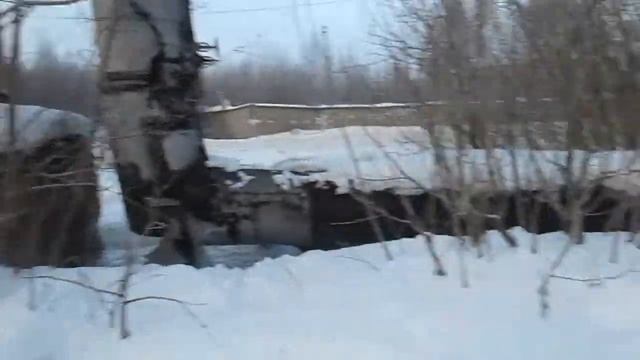Белка и Рыжик