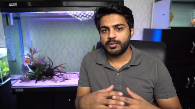 New Fish Dying In New Tank ???