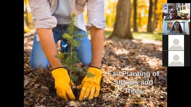 Garden Clean Up With Fall Gardening Tips