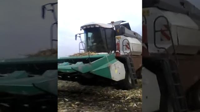 Чадыр-Лунга. Уборка Урожая 2016 (Daalar-Duzu) С.Гончар