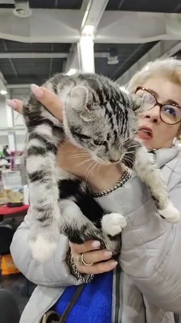 Покажи, что такое настоящая женщина!