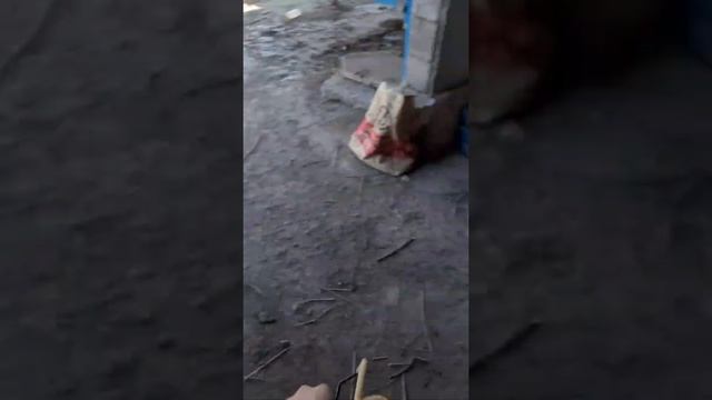 рогатка ату