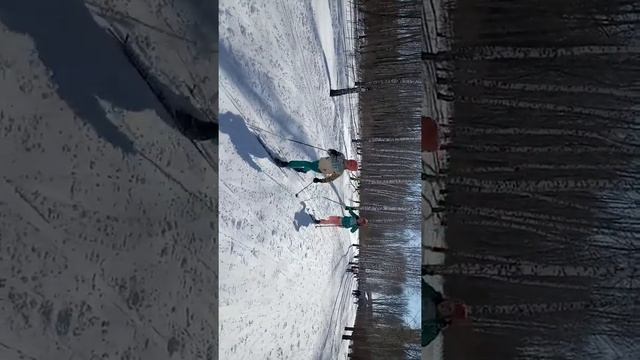 Лыжные гонки