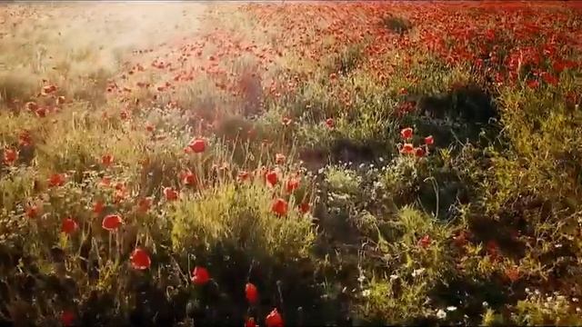 SURAH MARYAM AYAT 48 49 50 DEEN K LIAY JUDIE QATAH REHME NAHEE HAY MP3 20 MAY