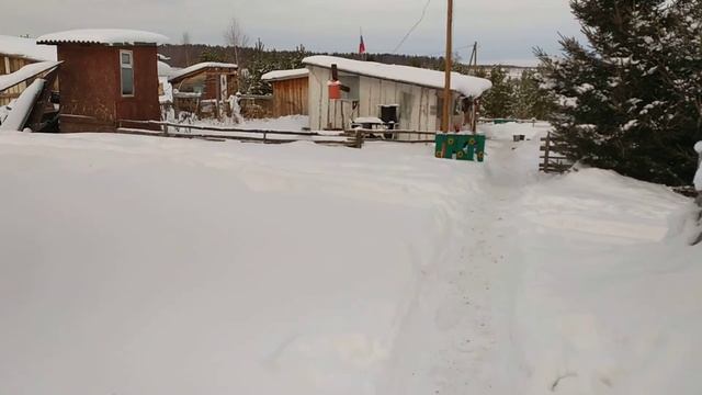 В НОВЫЙ ГОД С ЧИСТОЙ ПОПОЙ - БАННО-ПРАЧЕЧНЫЙ ДЕНЬ У УТОК. ОТТЕПЕЛЬ ( 29.12.21)