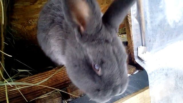 865429334e11789c6c95c799da0e9167