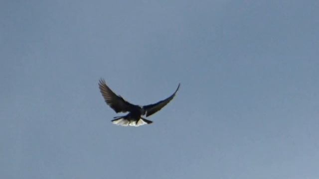 De4efe7e23705e57f69b8875b801fdc1