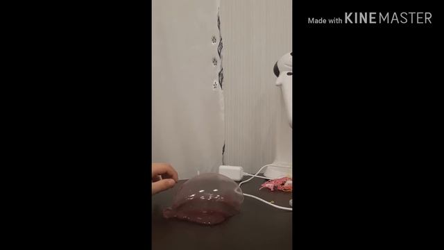 Обзор сквиши, лизуна, шарикового пластилина!