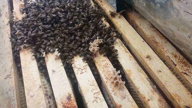 D4b5b39d689aaafda9b483be38af458e