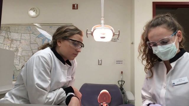 Vlog 4  We Did What to Our Teeth??  Kanken Unboxing!