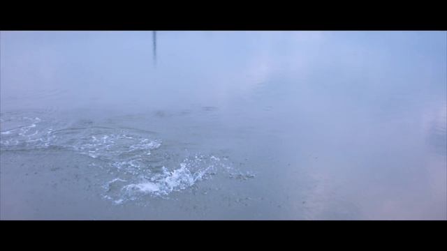 Tarpon Ladyfish & Barramundi At The Abandoned River Malaysia | Canon EOS R3 6K