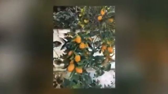 Короткий отпуск в январе