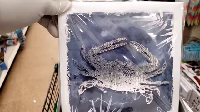 Swt Sadie J...Short Clip