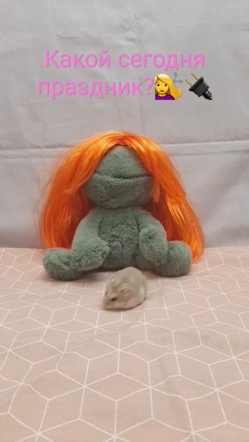 26.05 Holidays With Басик🔩😂 #басик #хомяк #лили #лягушка #рекомендации #праздник #рыжий #сварщик