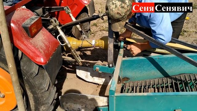 Шифенг сф-240 копает картошку транспортерной копалкой, она как всегда ломается)) + доработка копалк
