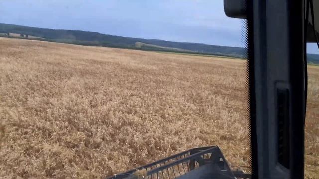 уборка чечевицы РСМ 161