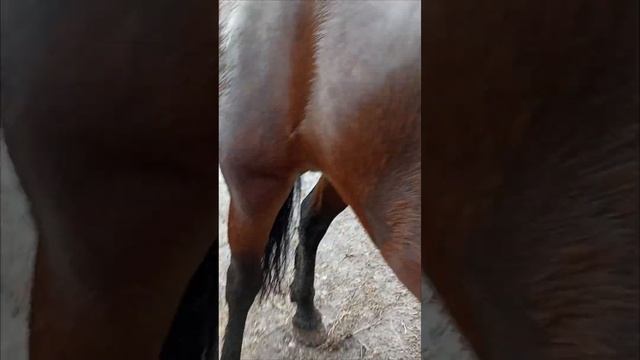 83676fa0b99f84de69f61e9d1db6dd8e