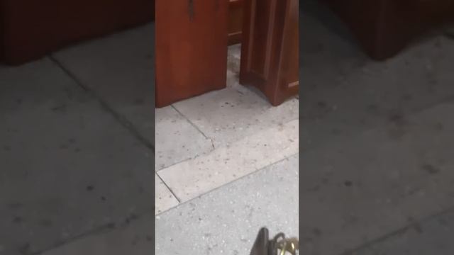 28 августа 2022 г.(1)