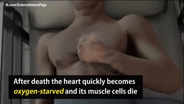 Heart In A Box   Asadullah Arshad ,Abdullah Bin Arshad,  Facebook