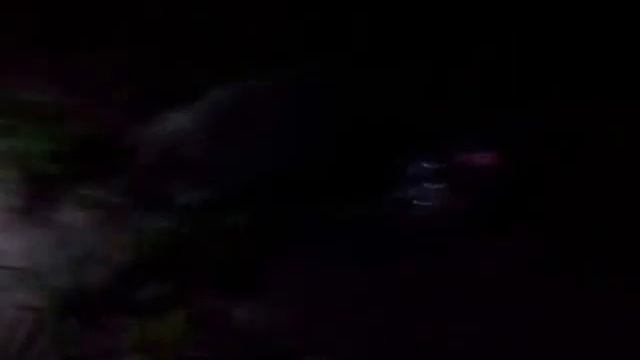 6dd106e845b580425e767d5a268afd41