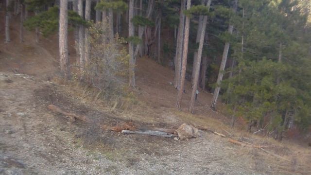 Контур уклон на мисхорке + смешная уборка