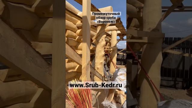 Для заказа сруба из кедра, расчета стоимости            ☎️ +79535881229                    #кедровы