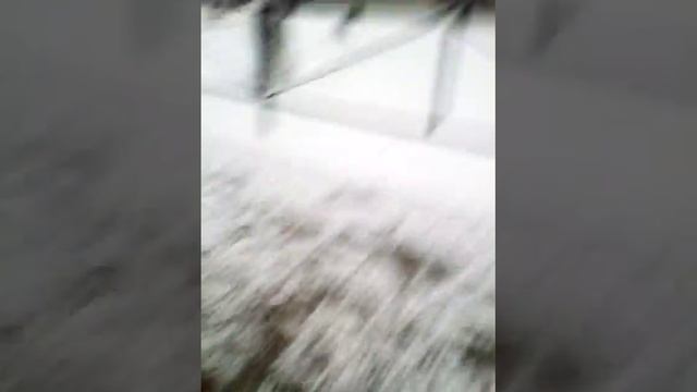 Играю после школы с друзьями