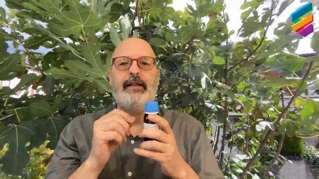 Ficus Carica - Gastrite Addio...