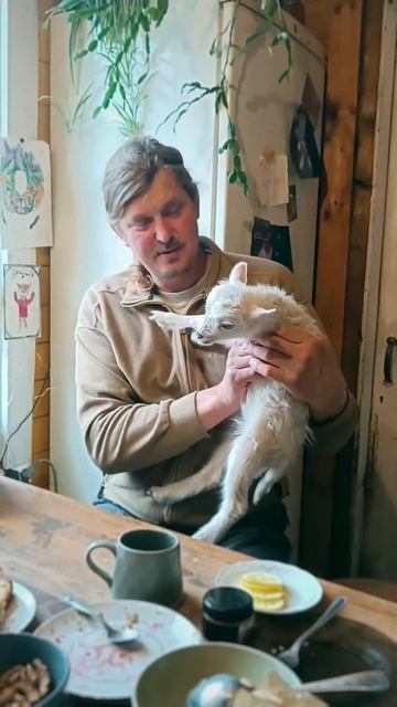 ЧАЙ В ГОСТЯХ