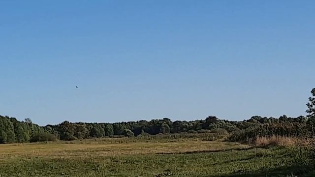 4 девы, компас и луга