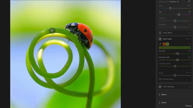 02-02 - Краткий курс «Изучаем Lightroom CC за 25 минут