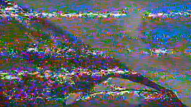 Foxeer Camera Micro Predator 4 At Sunset