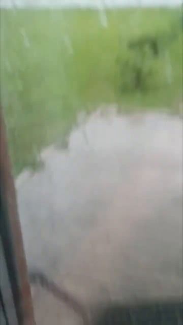 🌪️😱  #граффити  #стритарт #художник