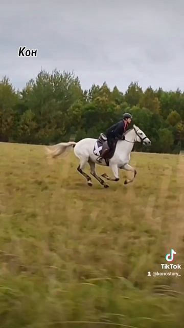 Dd55a720b450e86b8b8328c1fa0c3ba9