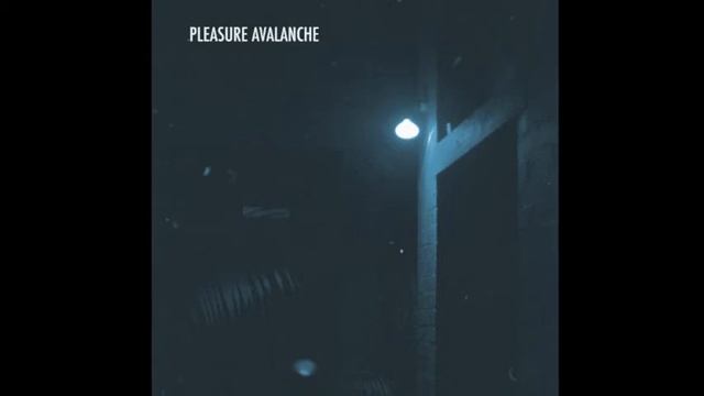 Pleasure Avalanche - In The Heart Of The Zone