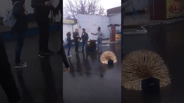 Наши дни Гомель, зарабатывают даже легионеры..